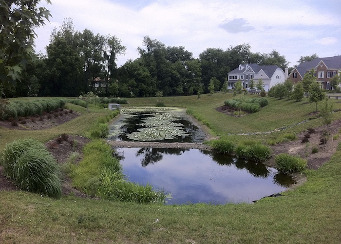 Biodiversity Research @ UMBC - UMBC
